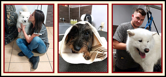 KONTAKT - CZTERY ŁAPY